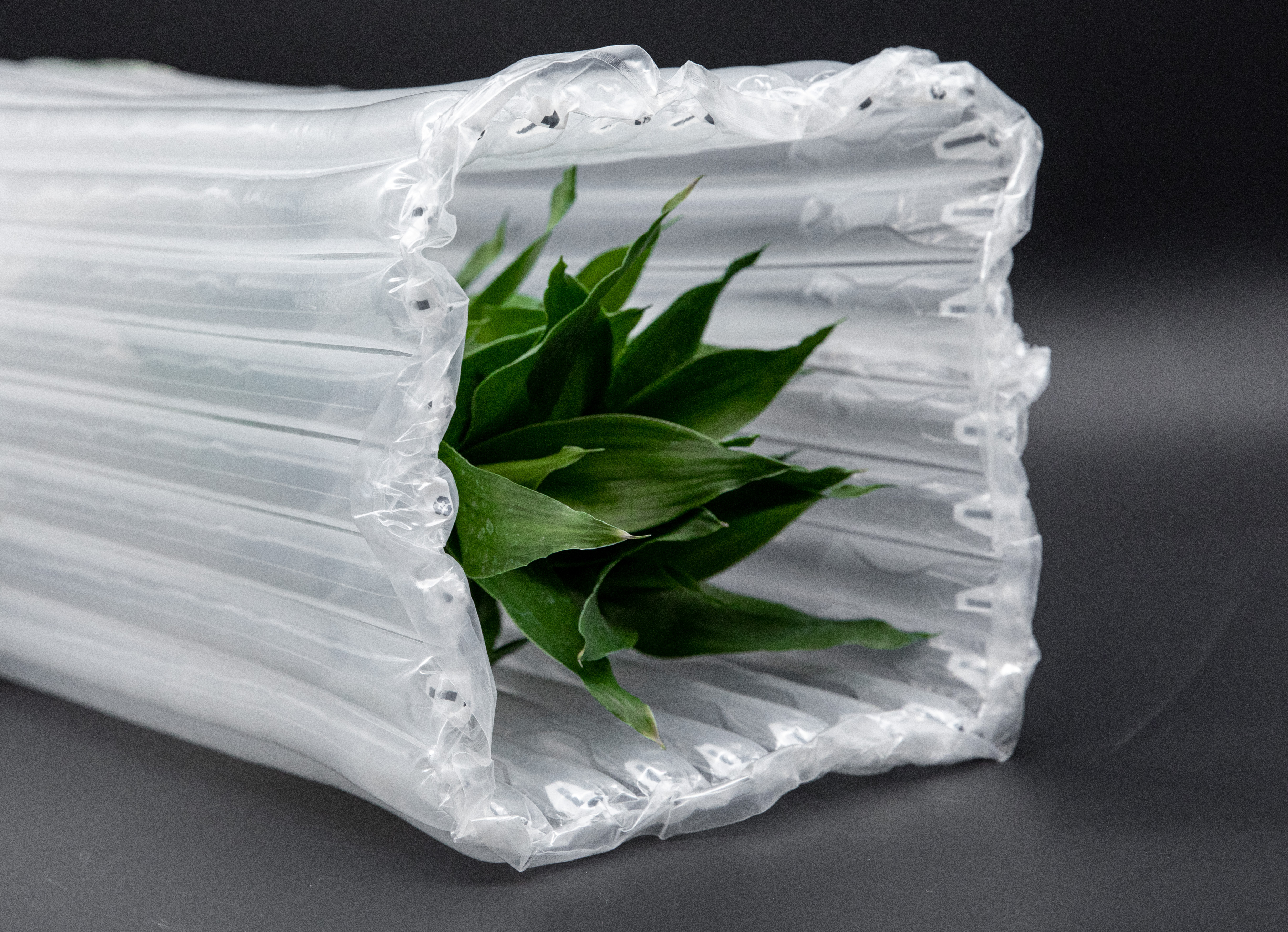 Tear Line Design Shock-Proof Air Bubble Wrap For Cosmetics